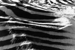 Sans titre – Série « Peaux », 2002, Photographie noir et blanc, 90 x 125 cm