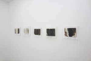 « Livres brûlés », 2012