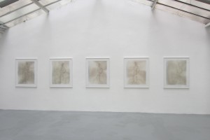 « Figures » – 2012, scanogramme, épreuve pigmentaire, 115 x 96 cm
