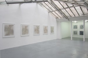 « Figures » et « Quadrillé billes » – 2011, scanogramme, épreuve pigmentaire, 105 x 96 cm
