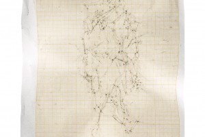 « Figure #11 », 2012, scanogramme, épreuve pigmentaire, 115 x 96 cm