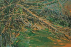 « Lisant Gilberto Freyre », 2014 , huile sur toile, 65 x 100 cm